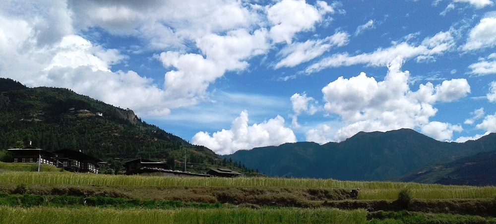 Paro Valley